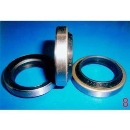 發動機油封圖片,發動機油封高清圖片 河北任縣鑫馳橡塑制品廠,