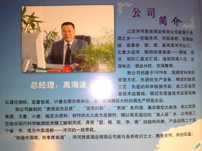 洋河酒業(yè) 中高檔酒水廠家直銷，品質(zhì)與價(jià)值并存